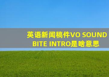 英语新闻稿件VO SOUNDBITE INTRO是啥意思